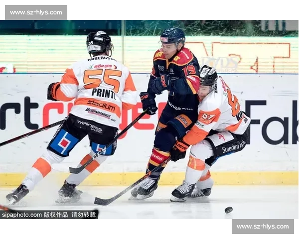延雪平VS：探讨瑞典冰球赛季发展及未来挑战分析