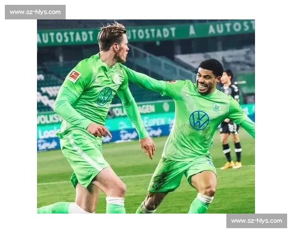 狼队对决狼堡欧战焦点之夜战术碰撞与胜负悬念解析全面前瞻看点