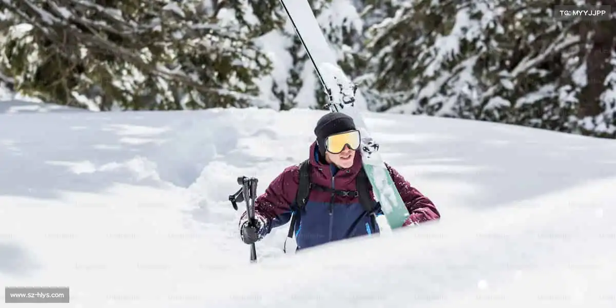 行业领先的理由