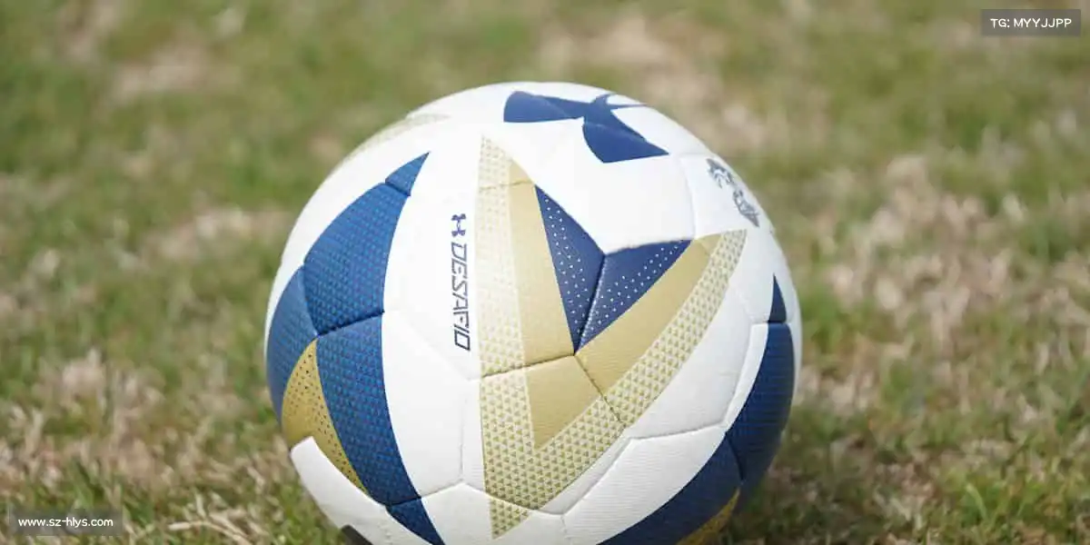 为什么选择我们